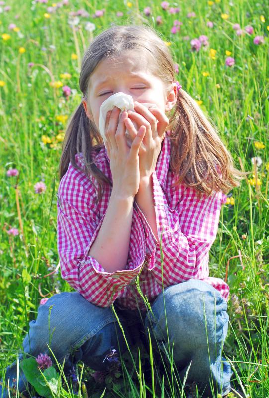 A small amount of spirulina powder can help reduce hay fever symptoms.