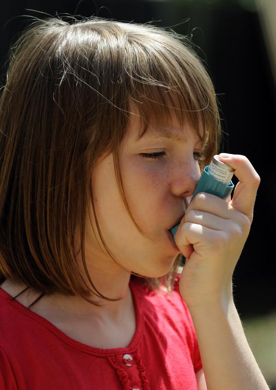 High basophil levels have been observed in people with asthma.