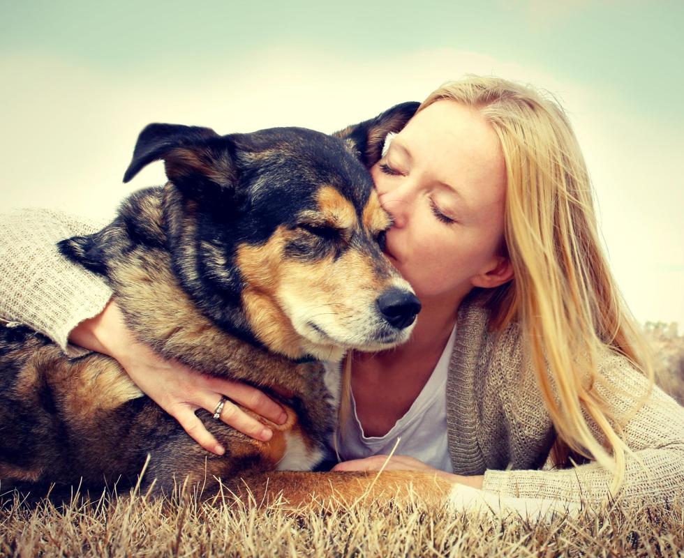 Dog owners tend to be in better physical condition than non dog owners.
