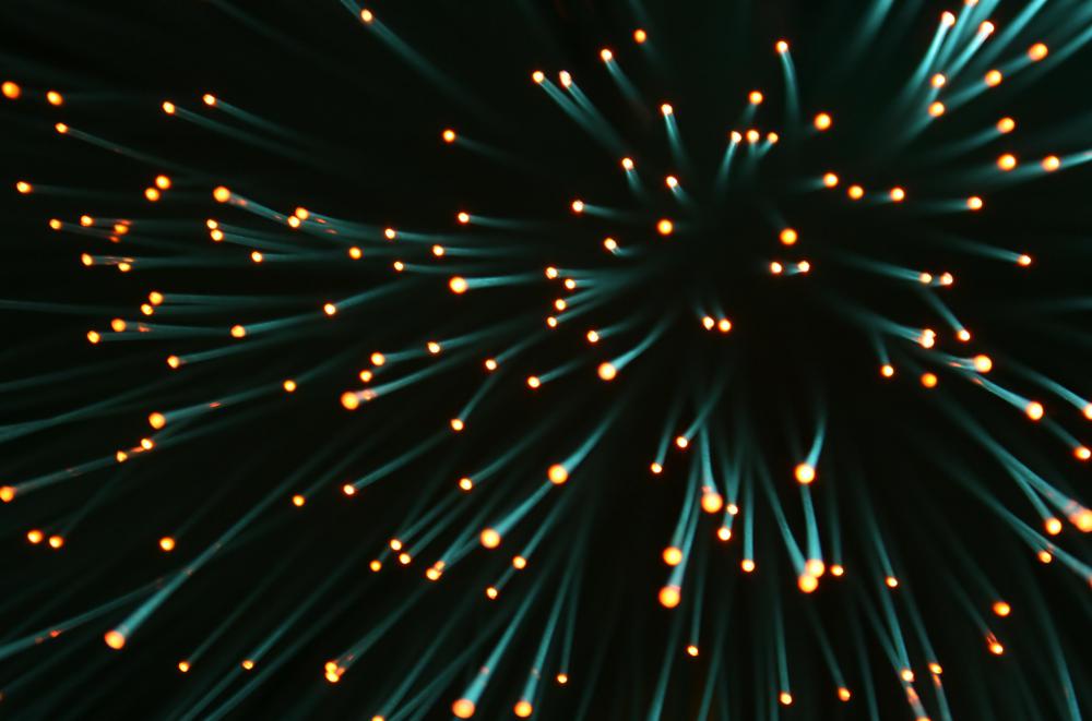 Some animals glow in order to attract mates.