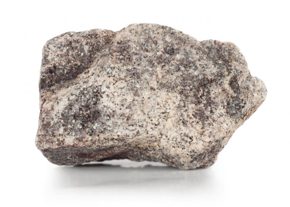 The pet rock is an iconic example of a fad.