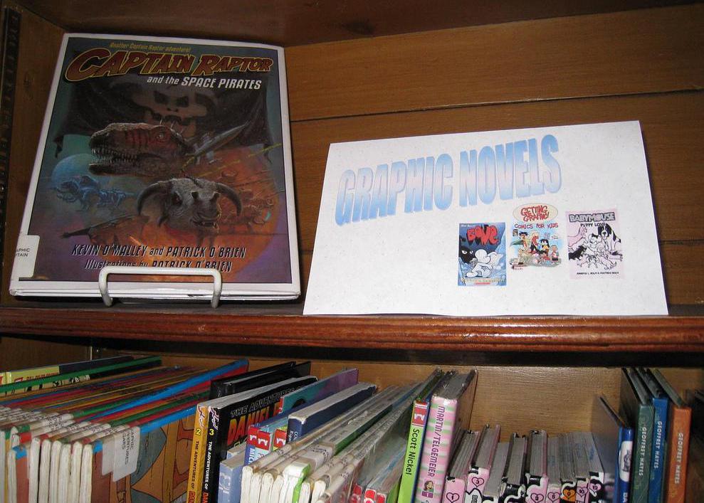 Comic books stores typically sell a large variety of graphic novels.