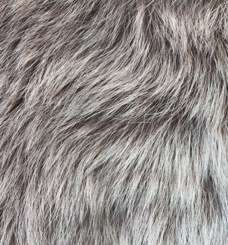 Natural aging is the main cause of gray hair.