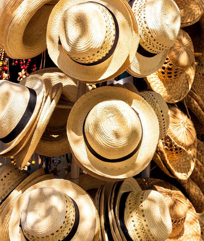 A flat, wide-brimmed straw hat is known as a panama hat.