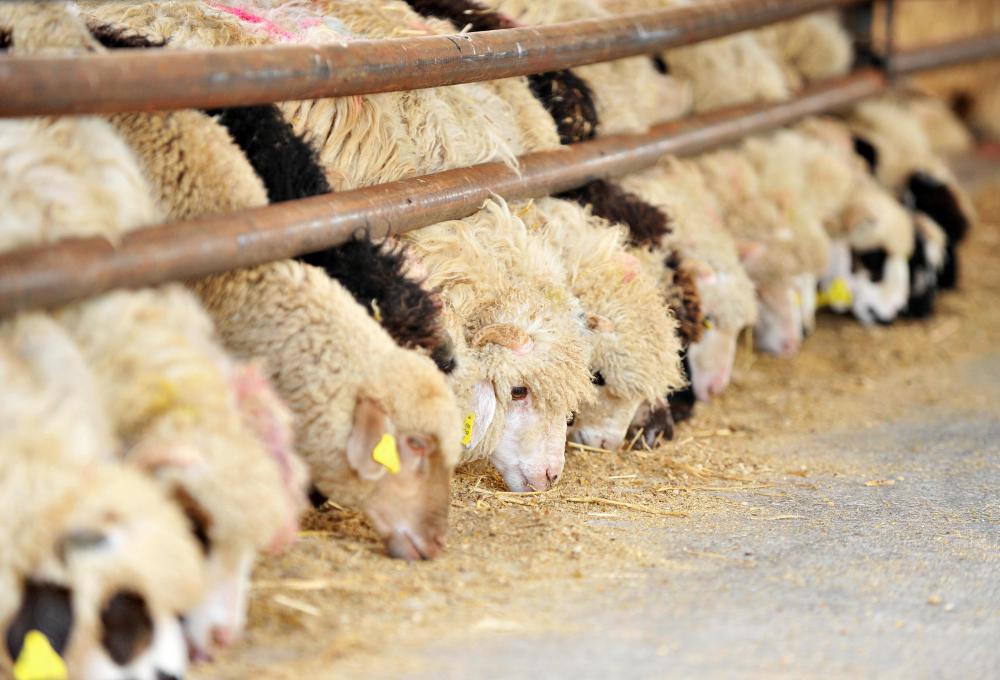 Agricultural systems apply to farms of all sizes.