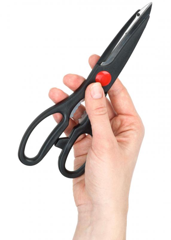 The cerebellum plays a key role in the development of motor skills, such as using scissors.
