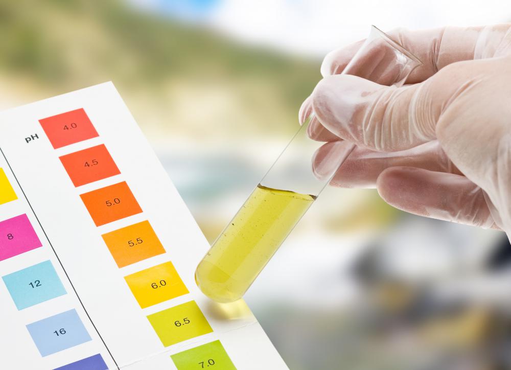 The pH of urine is lowered thanks to the distal convoluted tubule, making it more acidic.