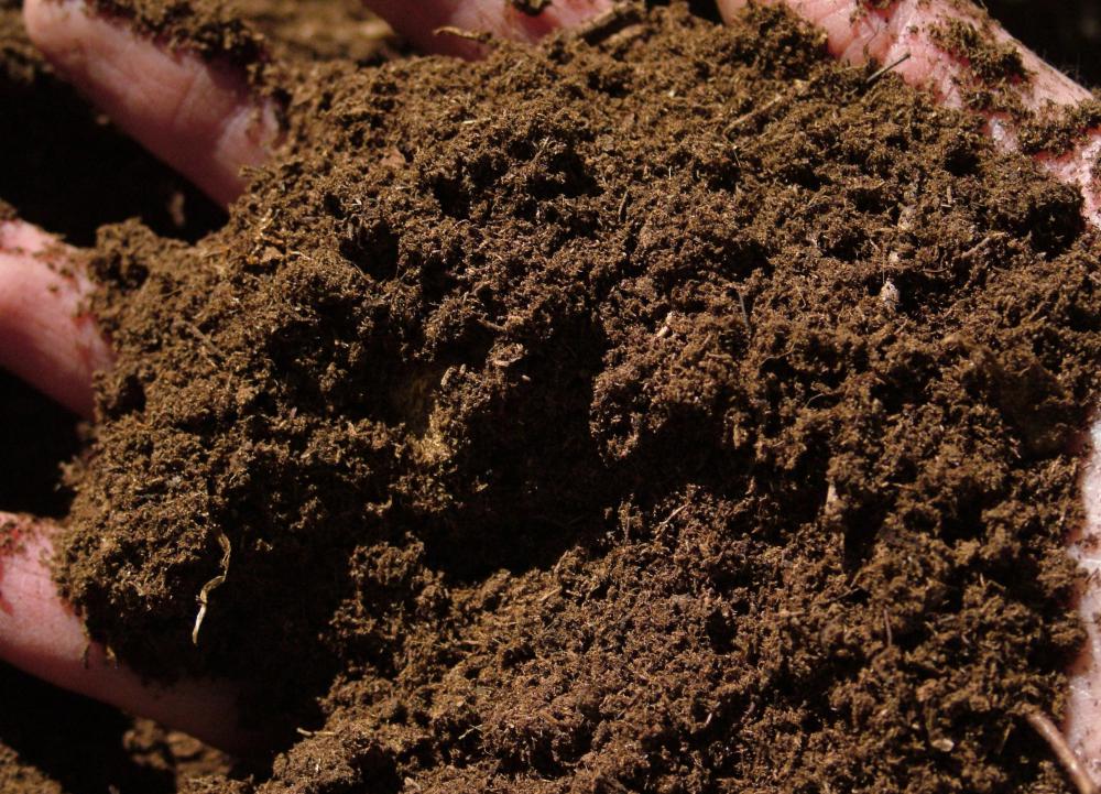 Peat moss, which is often used as an organic fertilizer.