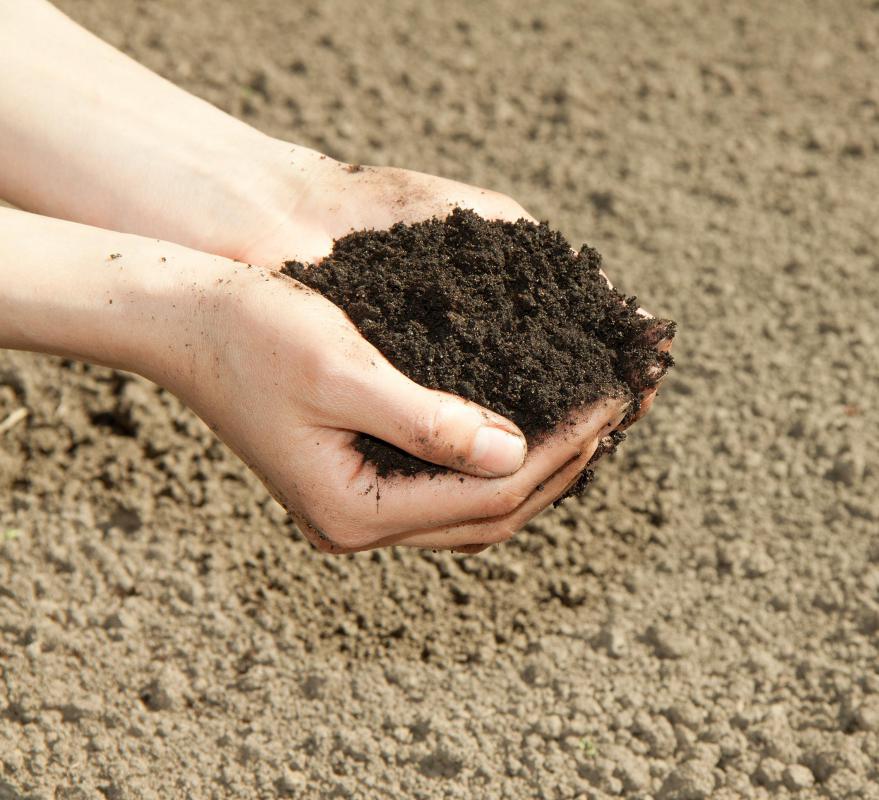 Coprecipitation may occur in soil.