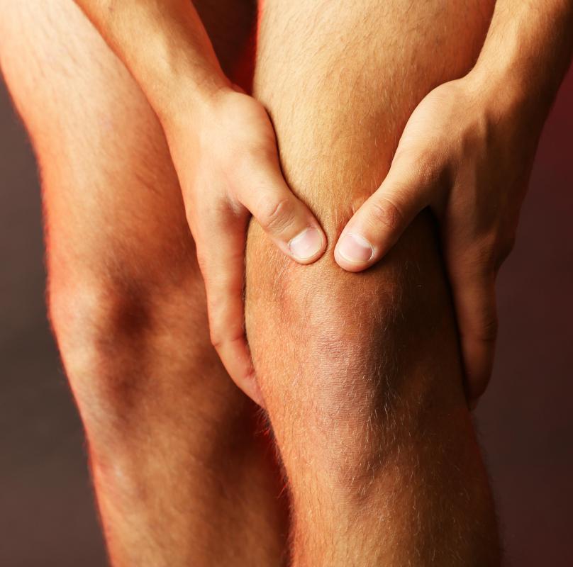 Synovial fluid is found in the knees.