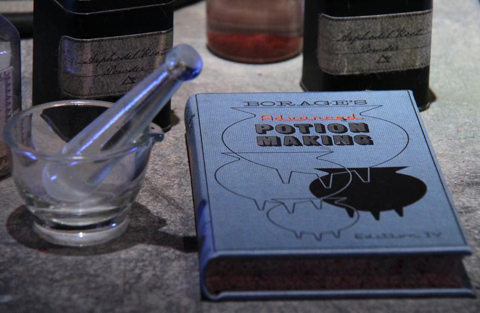 Harry Potter studies potion making at Hogwarts under Severus Snape.