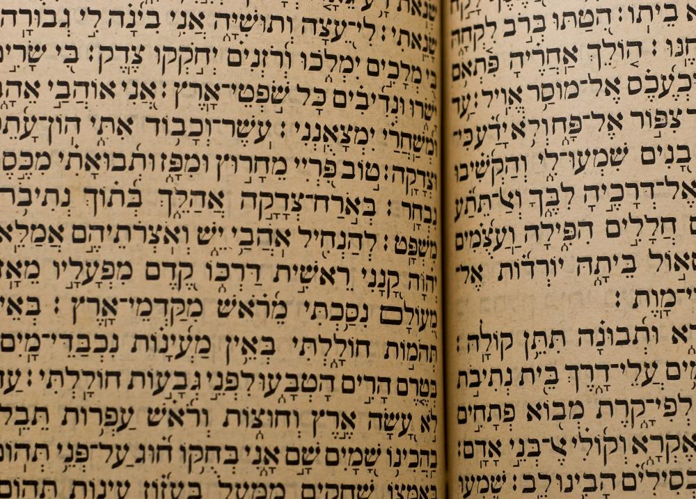 In Hebrew, the nominal sentence "Jane is a doctor" would consist only of the name "Jane" and the word for "doctor".