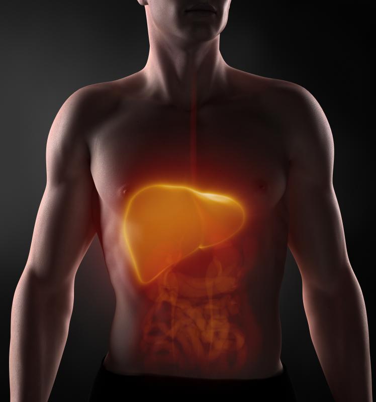 Exposure to dimethylamine may cause liver damage.