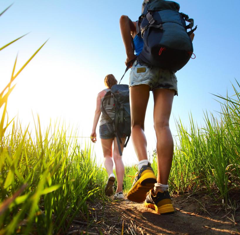 Walking tours may appeal to people who want to explore nature while upping their fitness quotient.