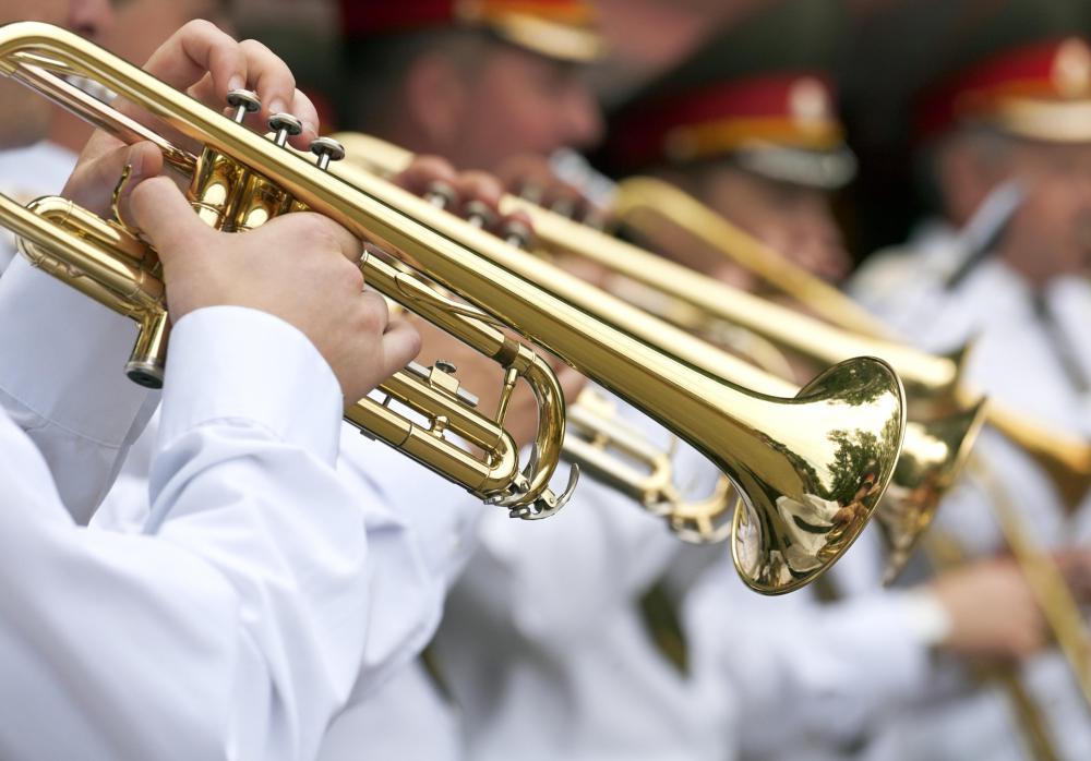 An orchestra with fewer than 50 members is called a "chamber orchestra".