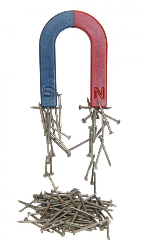 A horseshoe magnet has double the lifting strength of a weaker bar magnet.
