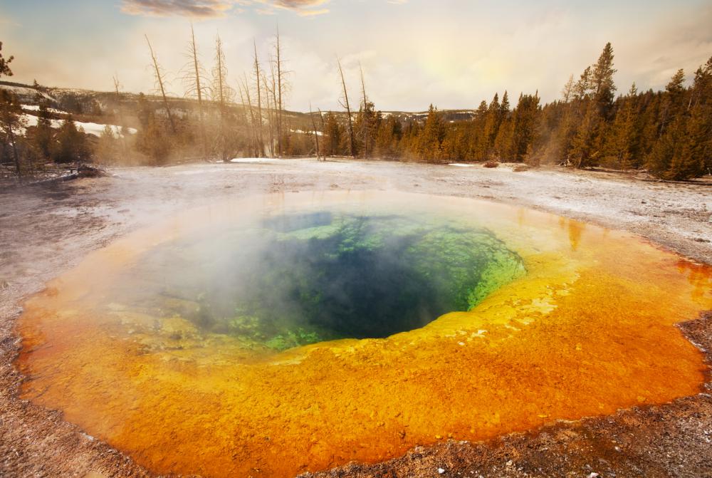 Extremophiles are a type of bacteria that can use energy from hot springs.