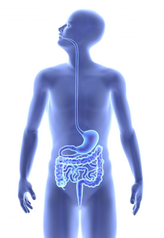 Micelles help transport lipids to the intestine for absorption.