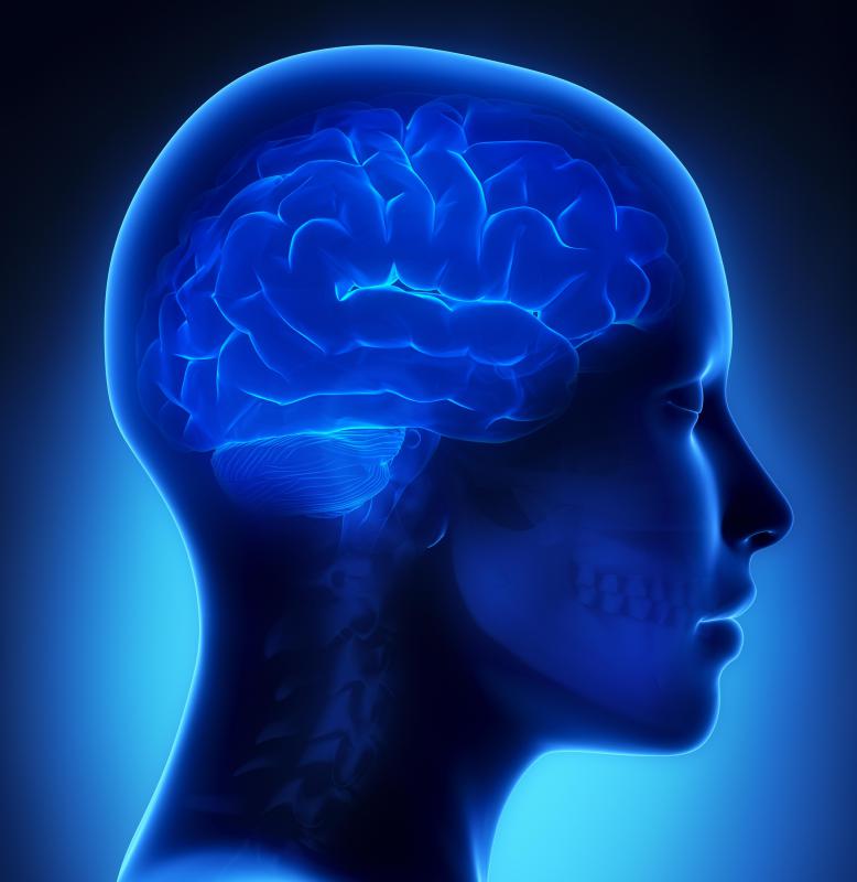 Working memory refers to the brain’s ability to store and manage information needed for accomplishing tasks such as reasoning, comprehension and learning.