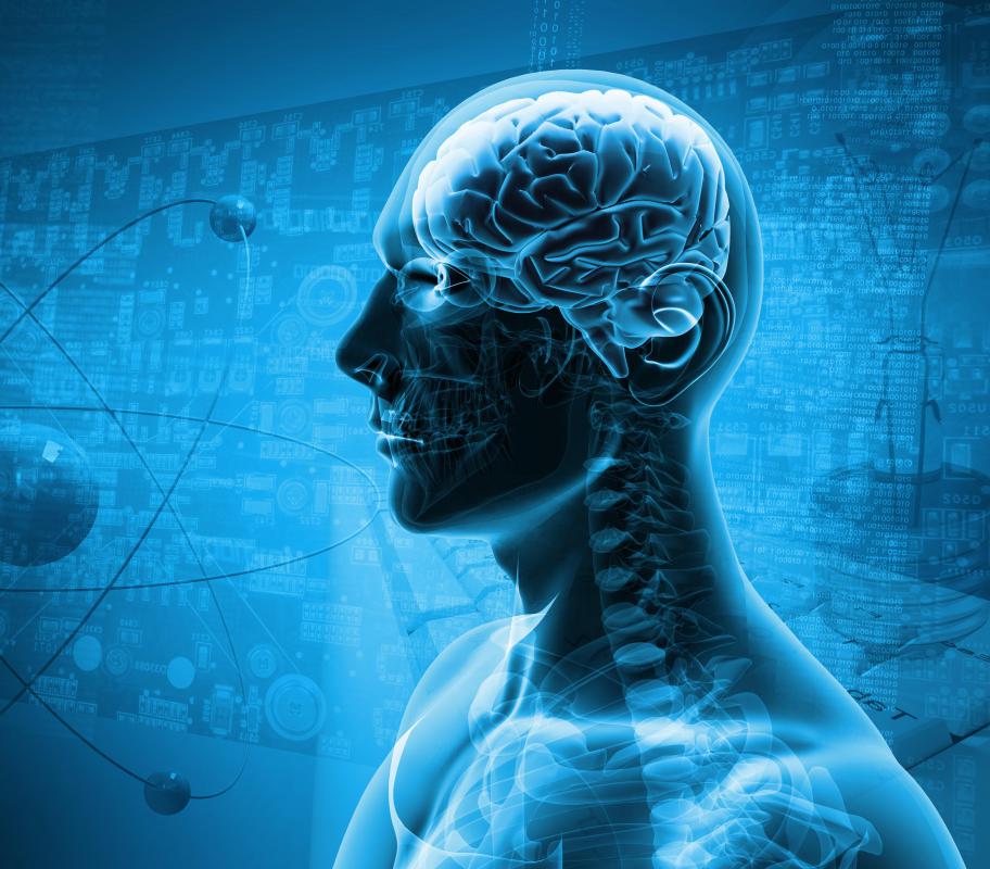 Flavanol has been credited with aiding in blood flow to and from the brain.