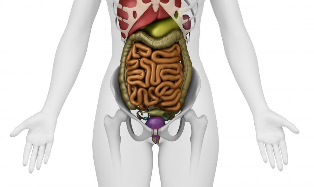 Cysteine can help prevent colon cancer.