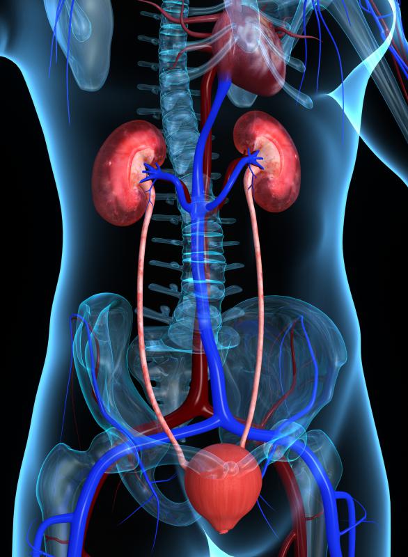 Kidney failure may cause metastatic calcinosis.