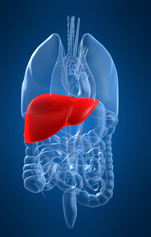 Use of DHEA may cause liver dysfunction.