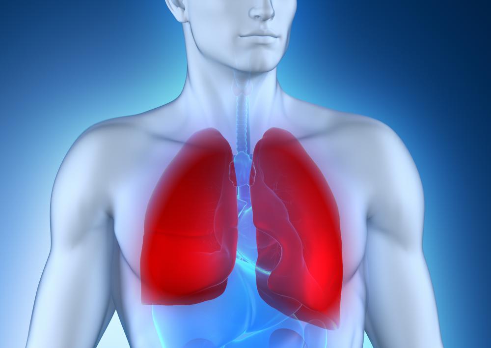 A flexible bronchoscopy may be performed to examine a person's lungs.