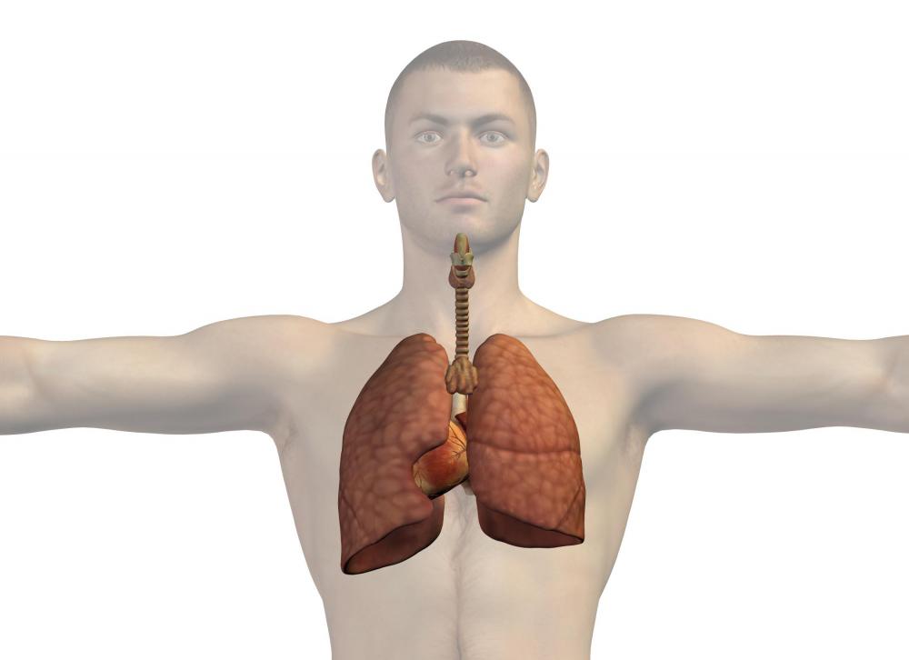 Pulmonary fibrosis may cause scar tissue in the lungs.