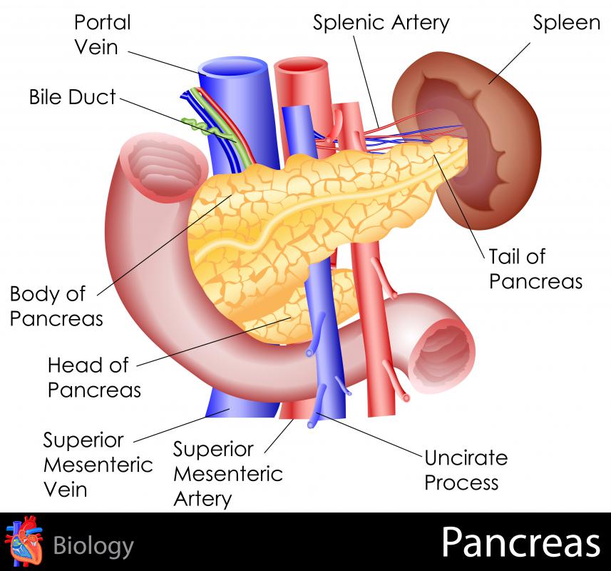 Pancreatic masses can range in severity from a benign cyst to a cancerous tumor.