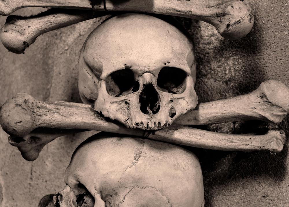 Images of the grim reaper often focus on death.