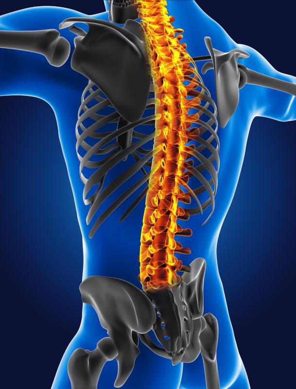 The spinal cord is a delicate area.