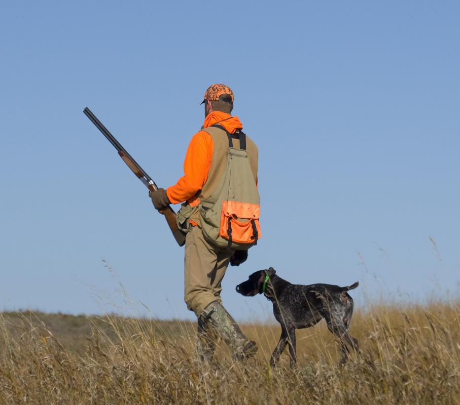 Hunting gear includes safety clothing and even a hunting dog.