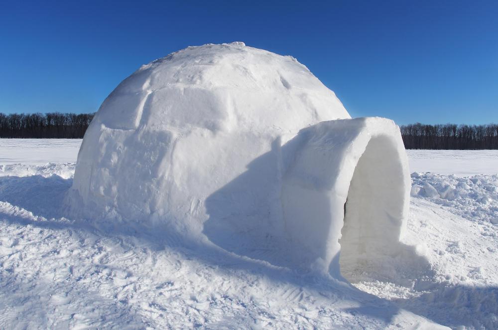 The deliberate construction or appropriation of habitable structures is considered a human cultural universal.
