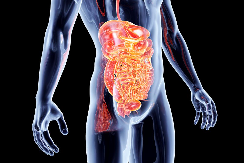 Large intestine pain is usually from intestinal obstruction, intestinal polyps, or Crohn's disease.
