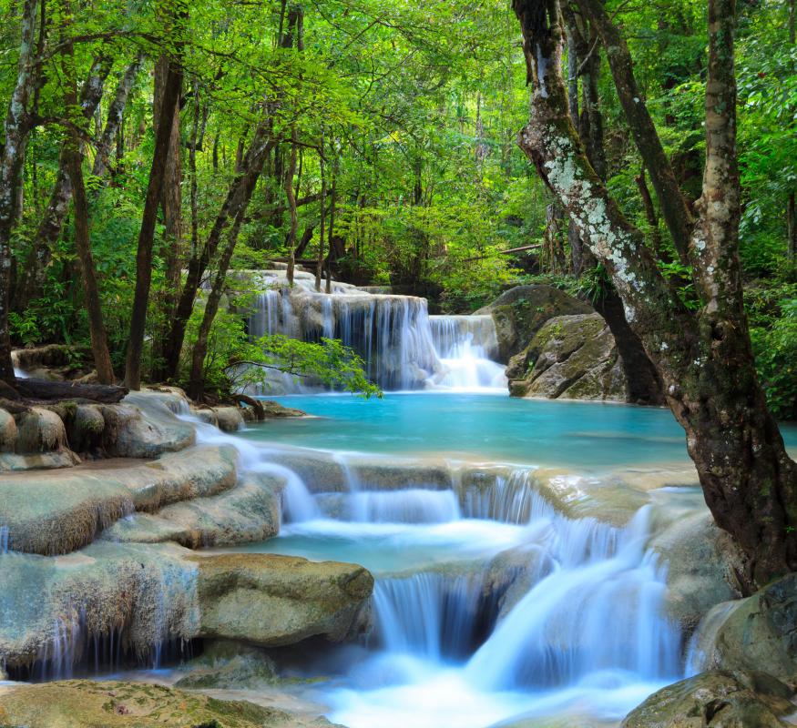 Many countries have a national park agency that protects and takes care of parkland.