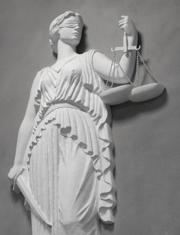 An activist campaigns or organizes for causes they strongly believe in, such as legal reform or court transparency.