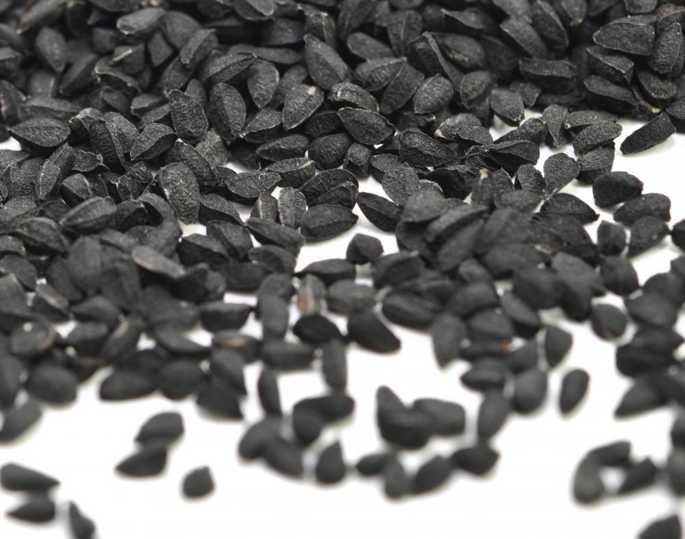 Nigella sativa, from which thymoquinone is derived.