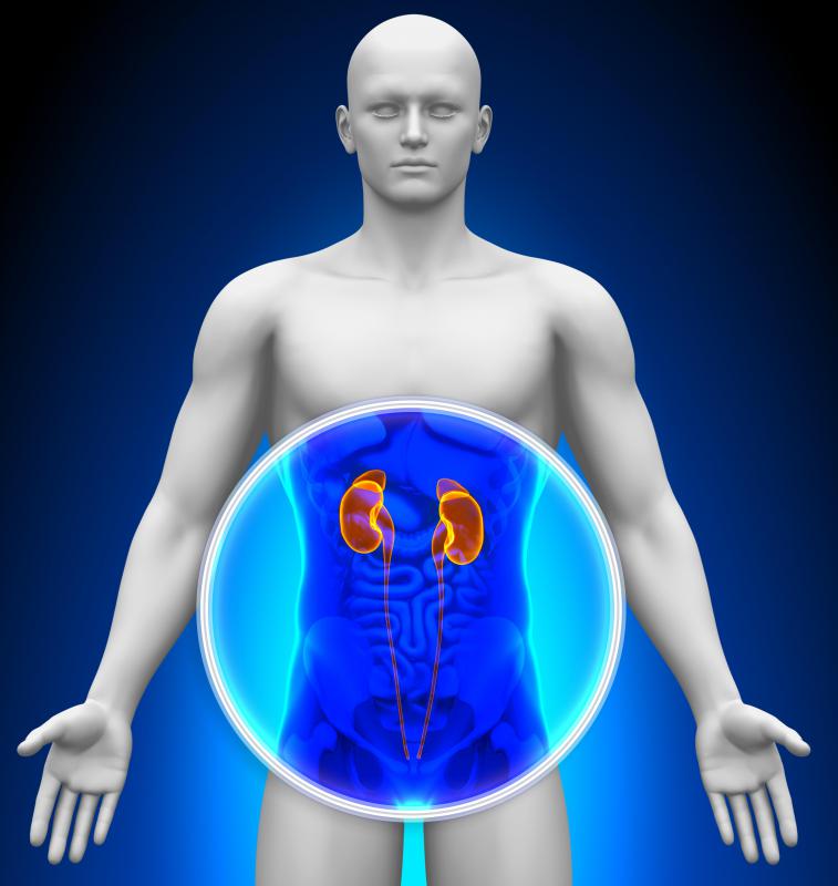 Lisinopril may be used to treat kidney disease.