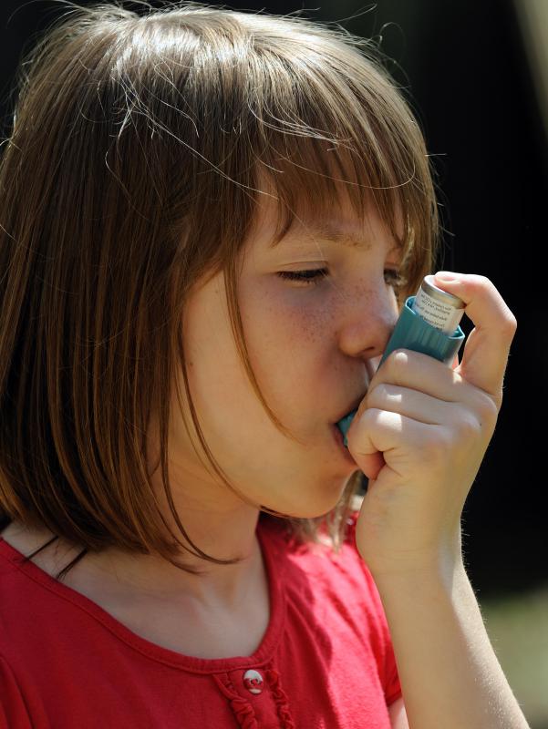 Lagundi has been used to assist in the treatment of asthma.