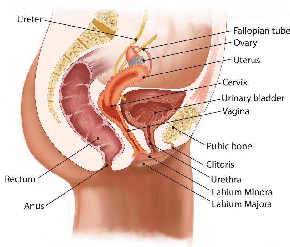 Some douche solutions may dry out the vaginal tissue, causing irritation to the area.