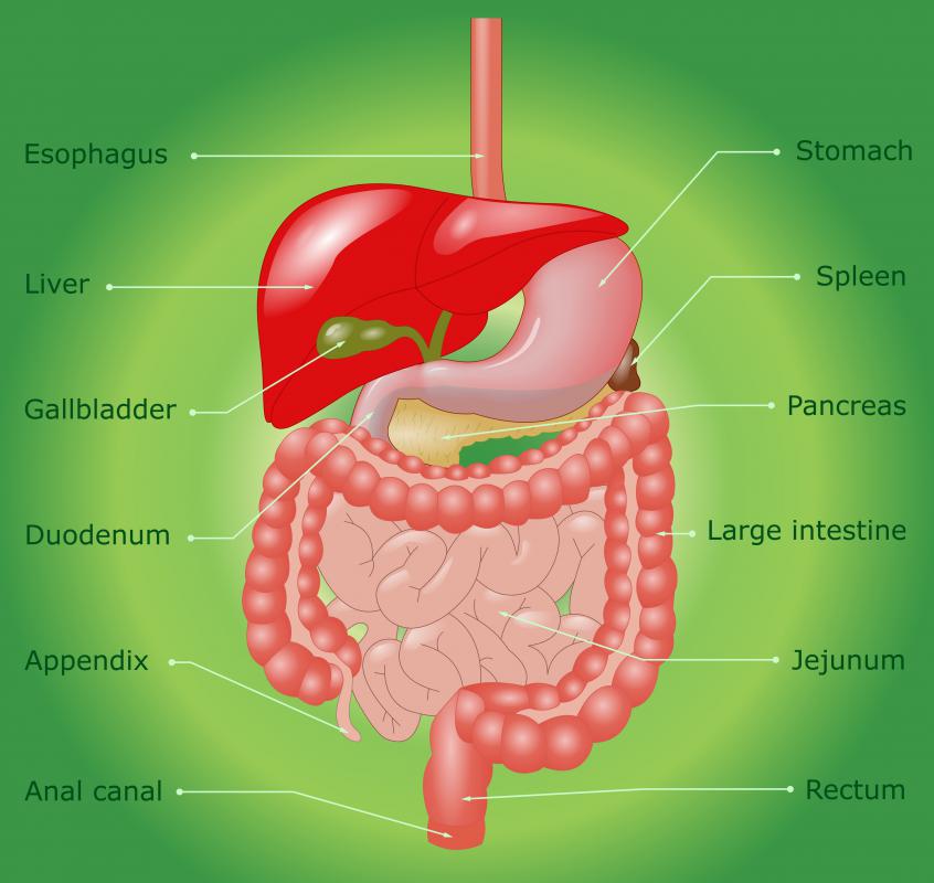 Bleeding from the rectum is the most common symptom of hemorrhoids in children.