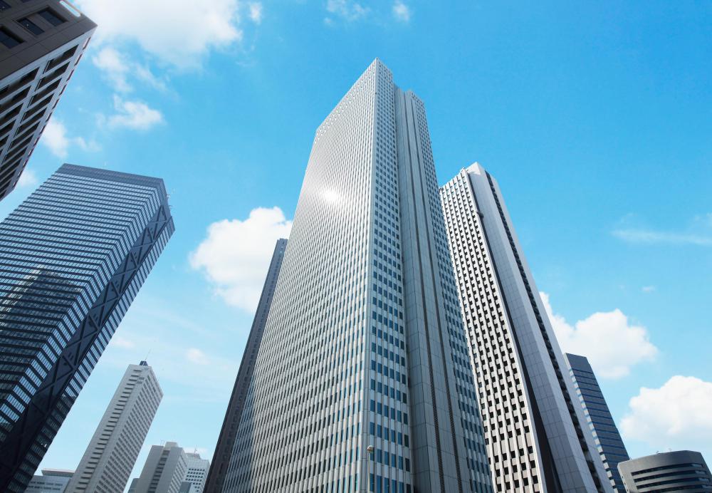 Some zoom lenses allow photographers to focus closely on faraway people or things or to switch to wide angles to capture objects such as tall buildings.