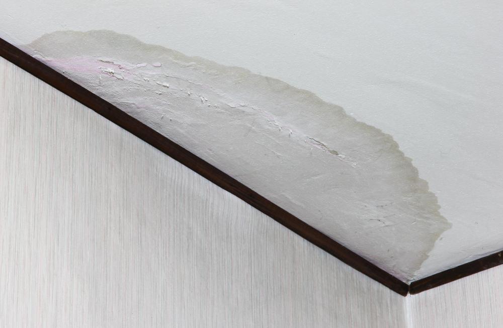 Many basements may experience leaking walls or ceilings.