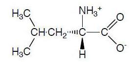 Leucine structure.