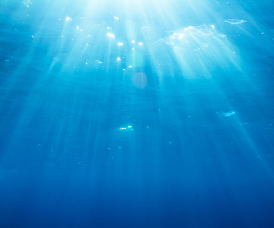Around 90% of ocean life may be found in the photic zone.