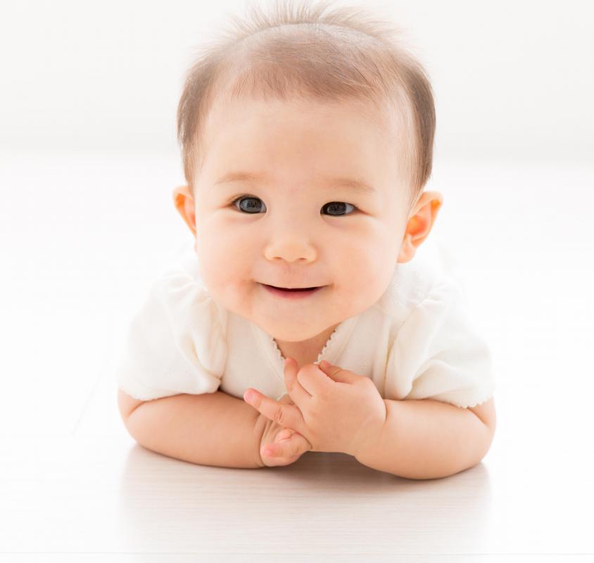 One feature of the calvaria that is present on the skulls of infants is the presence of soft spots.