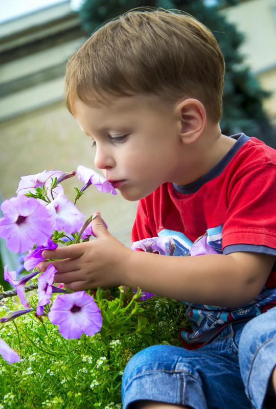 Smelling is one of the five basic senses.