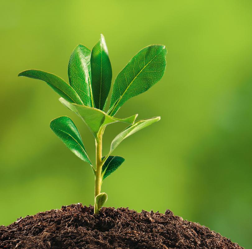 There are many jobs in global ecology that do not require a science background.