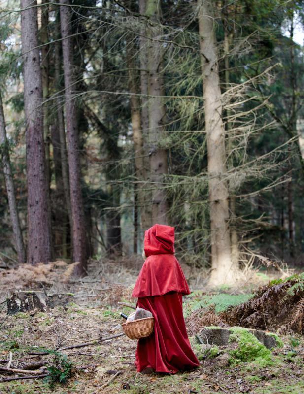 "Little Red Riding Hood" is an example of fiction.